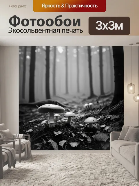 Фотообои поднимающийся туман над лесом