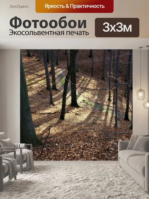Фотообои Лес