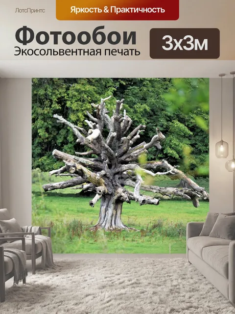 Фотообои Дерево