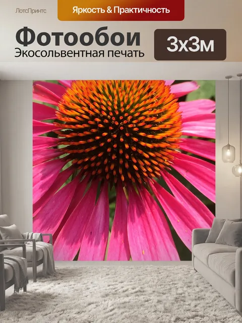 Фотообои Розовый