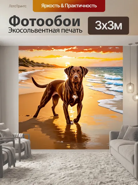 Фотообои лабрадор-ретривер с блестящей коричневой шерстью, играющий на пустынном пляже при закате солнца