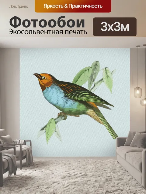 Фотообои Птица Красочная Акварель Винтаж