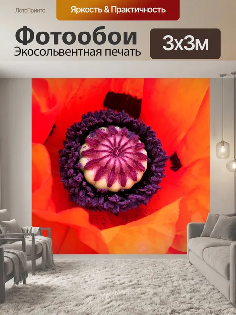 Фотообои Цветок мака