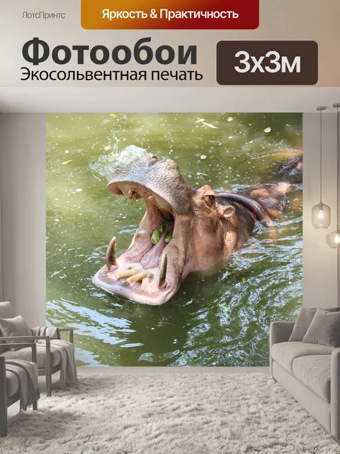 Фотообои Бегемот