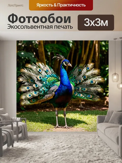 Фотообои павлин, яркая и красочная птица с раскрытым хвостом, стоит на фоне живописного тропического леса, где его…