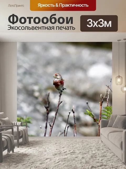 Фотообои Маленькая птичка