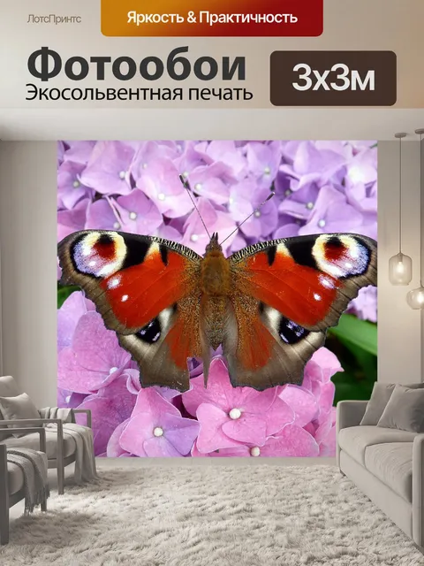 Фотообои Павлиний глаз