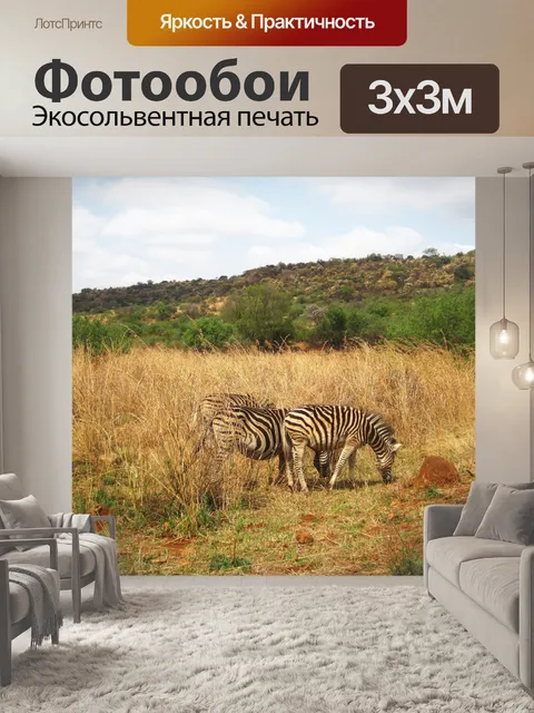 Фотообои Несколько зебр пасутся в высокой траве