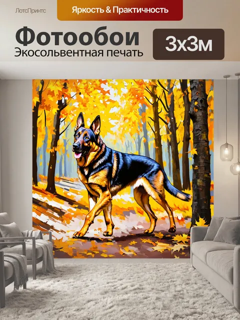 Фотообои изображение немецкой овчарки на прогулке по осеннему лесу, покрытому золотыми листьями