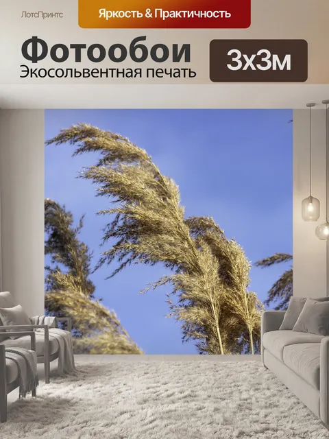 Фотообои Рид