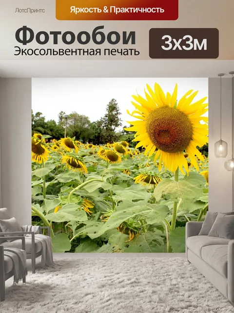 Фотообои поле подсолнухов, подсолнухи
