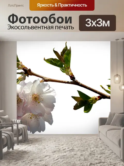 Фотообои Чернослив