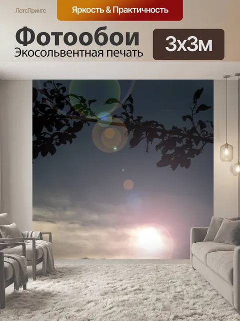 Фотообои Роза тростника силуэт