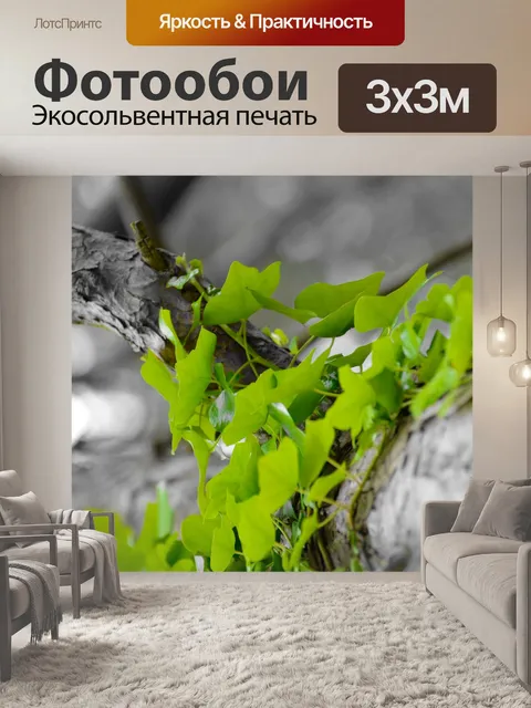 Фотообои зеленые листья