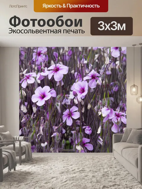 Фотообои Розовый