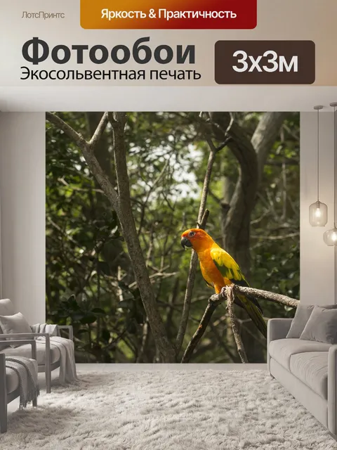 Фотообои Попугай