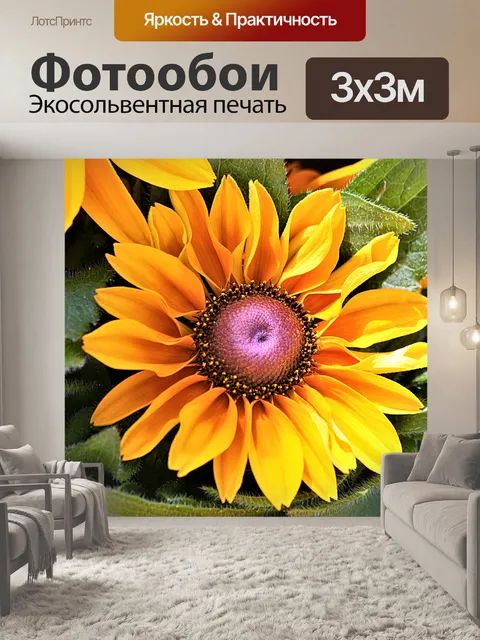 Фотообои Черноглазая Сьюзан Цветок крупным планом