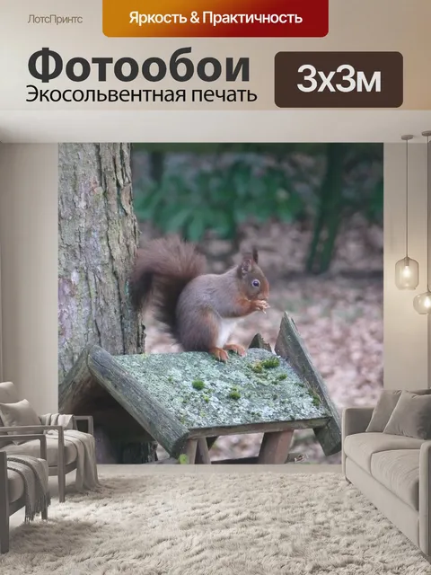 Фотообои Белка
