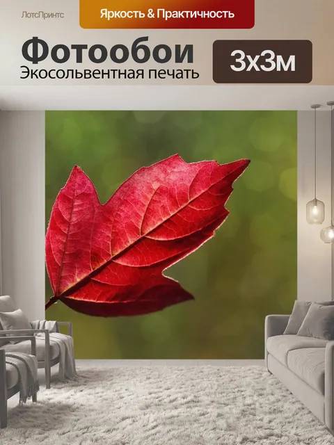 Фотообои Осенние листья листьев красного дерева