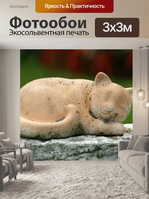 Фотообои Кот
