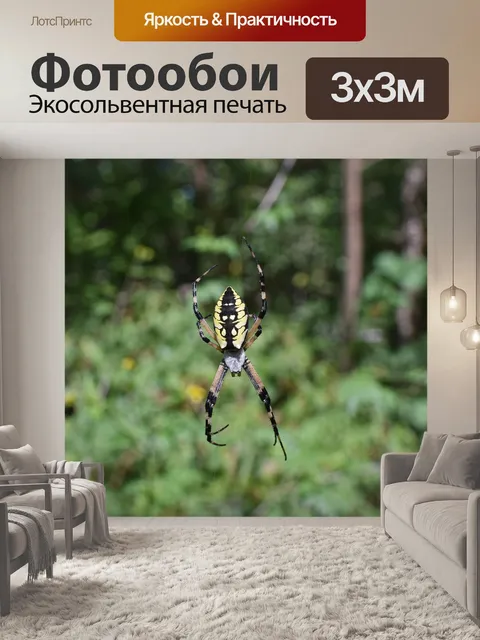 Фотообои Желтый сад паук