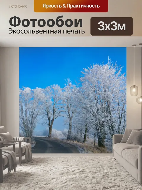 Фотообои Снеговые деревья