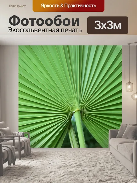Фотообои Тропический вентилятор листьев
