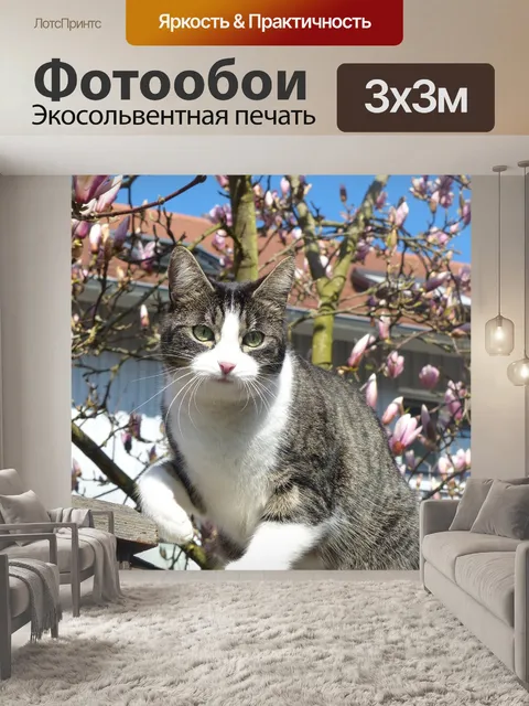 Фотообои Тигровый кот