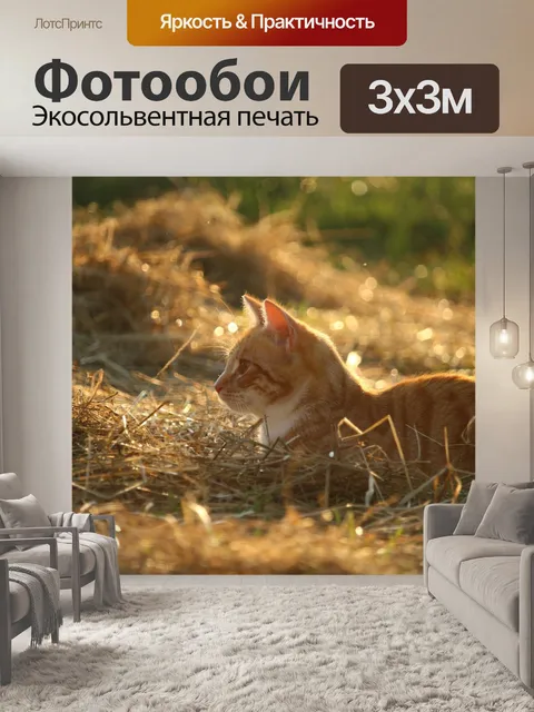 Фотообои Кот