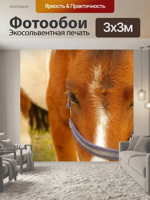 Фотообои Маленькая лошадка