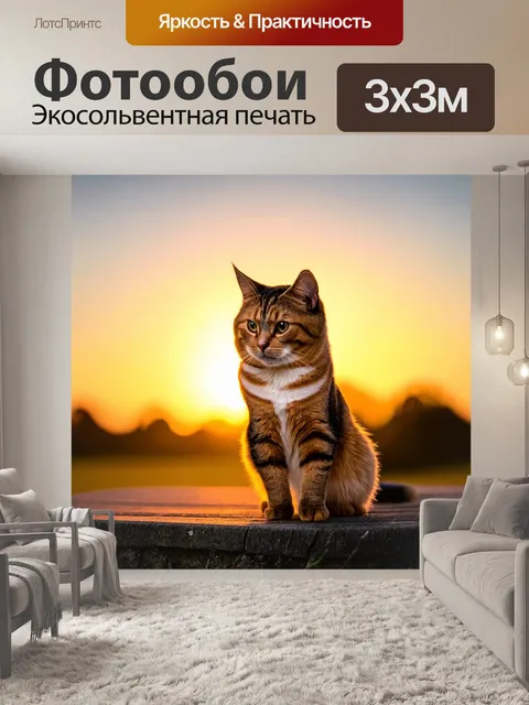 Фотообои кошка, наблюдающая за вечерним закатом
