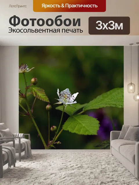 Фотообои Буш