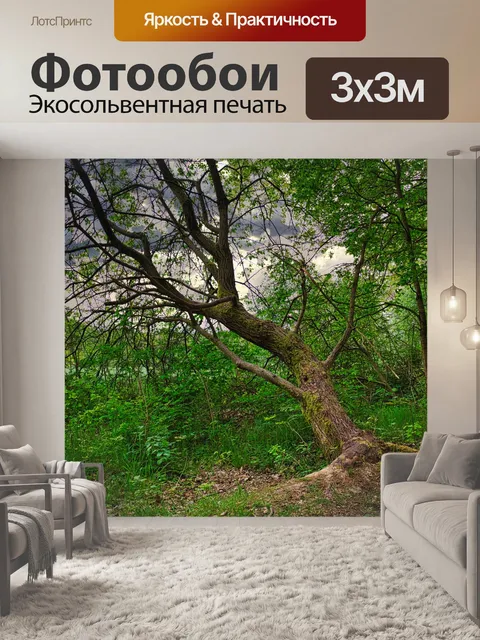 Фотообои Дерево