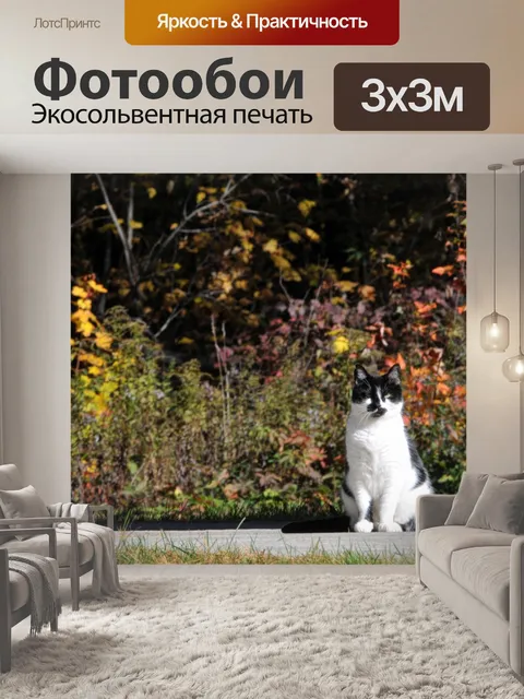 Фотообои Кот в осень