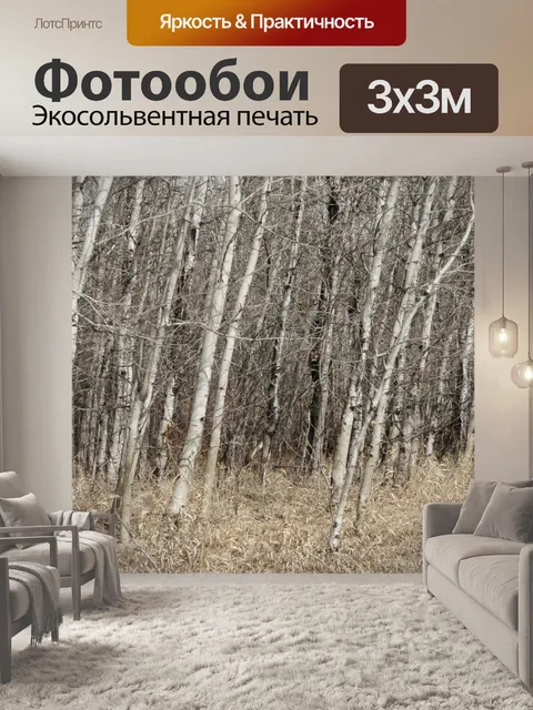 Фотообои Березы лес