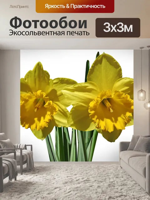 Фотообои Нарциссы