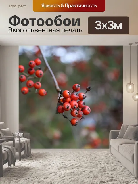 Фотообои Рябина