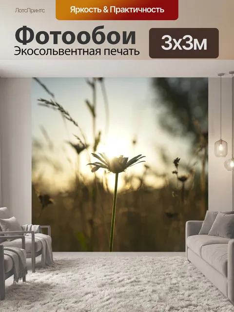 Фотообои Солнечные лучи