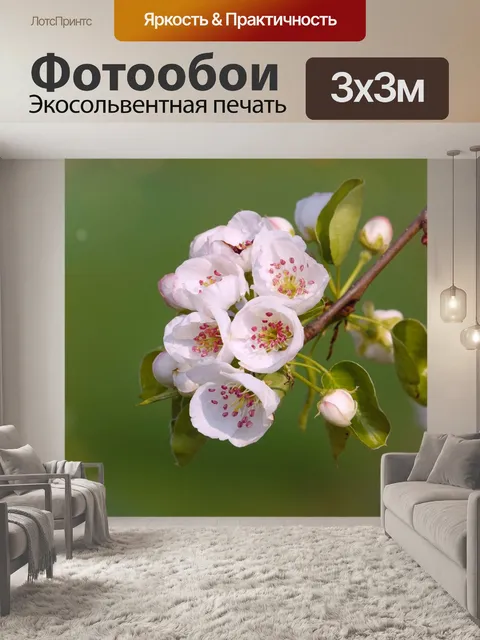 Фотообои Яблоневый цвет цветок цвести цветы