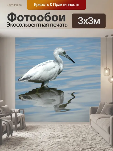 Фотообои Белая цапля