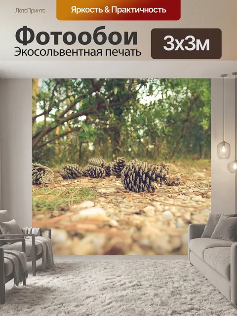 Фотообои Сосновые шишки