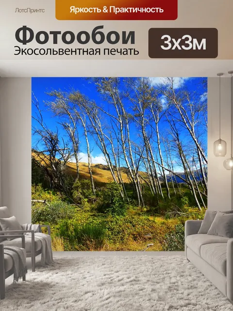 Фотообои Проходить