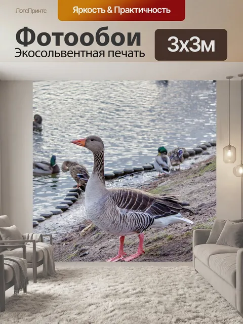 Фотообои Берег реки