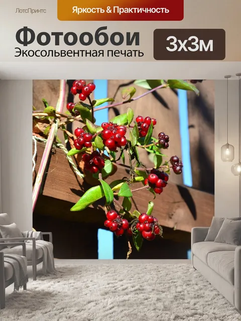 Фотообои Ягоды