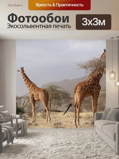 Фотообои Жирафы