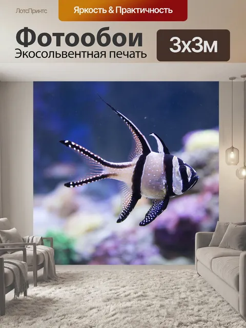 Фотообои Рыбы