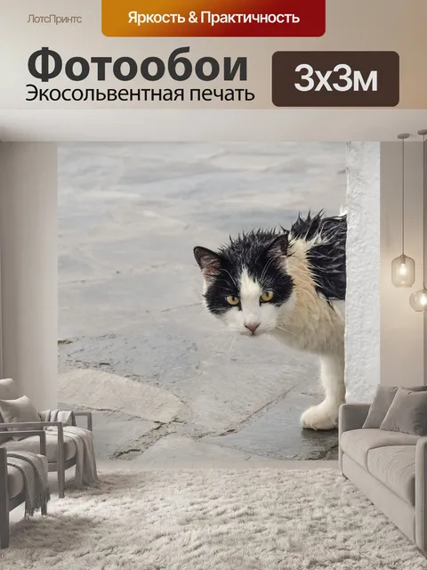 Фотообои Кошка