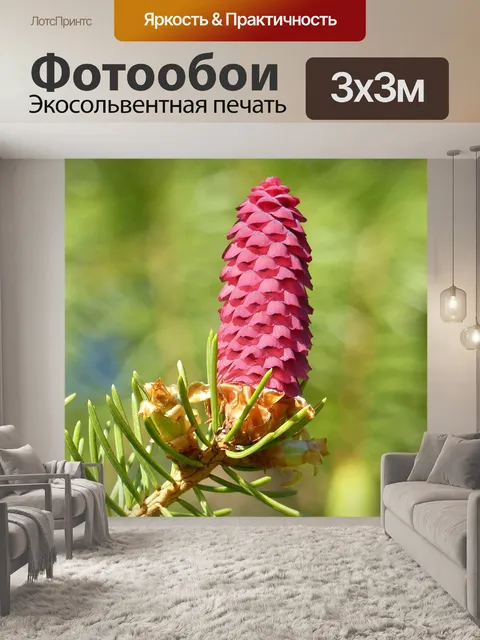 Фотообои Гран