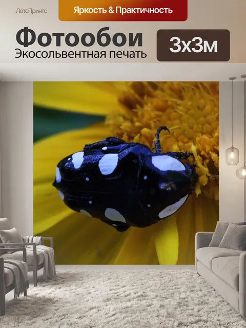 Фотообои Черно-белые пятнистые плоды