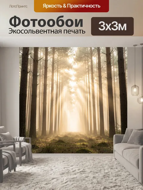 Фотообои Солнечные лучи в сосновом лесу